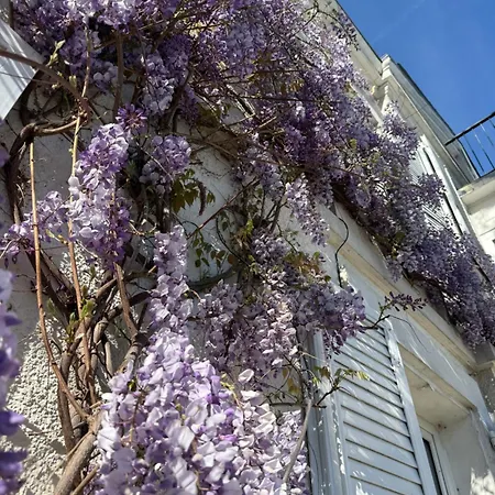 Villa Bienvenue Au 24 Le Havre